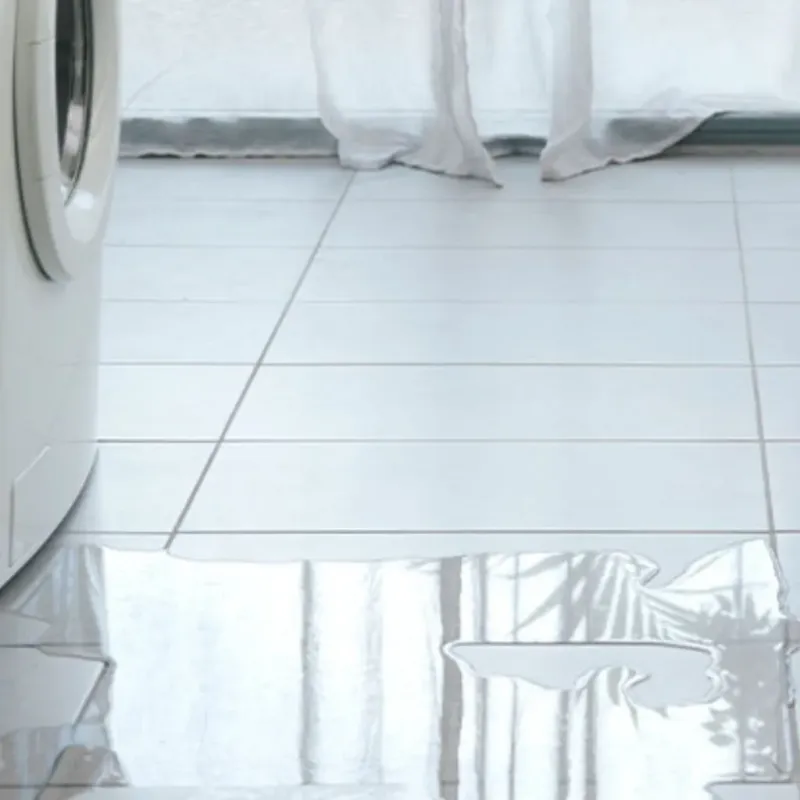 Appliance Leak Cleanup in Freeland, WA