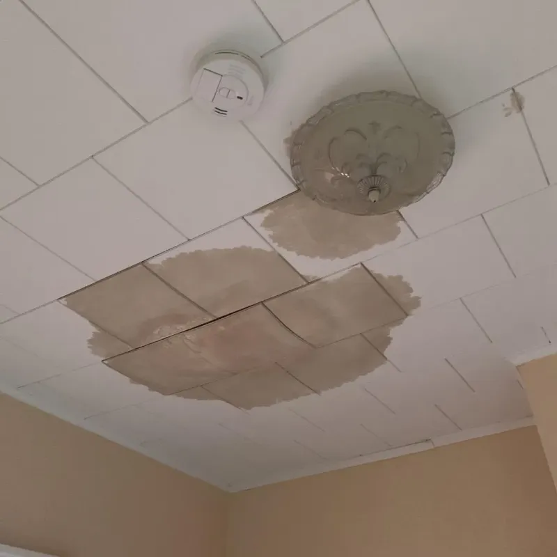 Ceiling Water Damage Repair in Freeland, WA