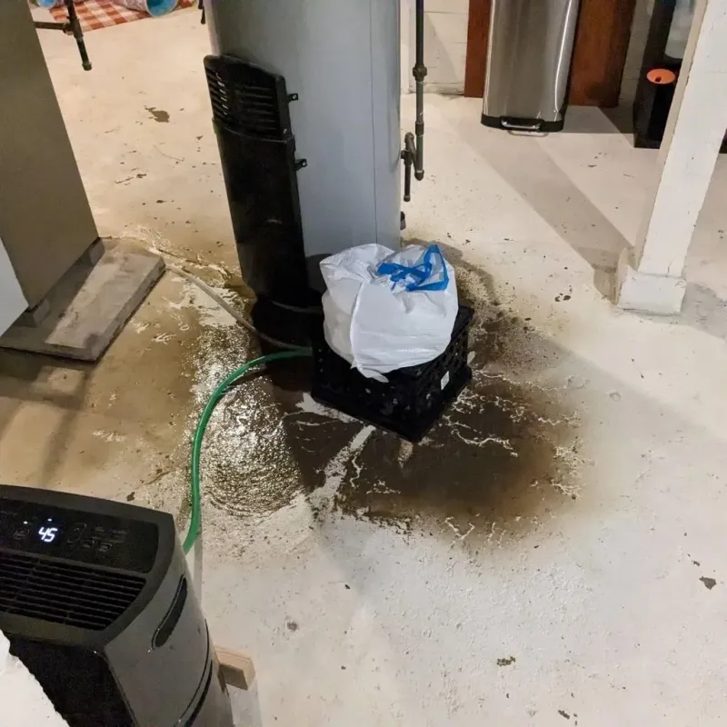Sewage Backup Cleanup Service in Freeland, WA